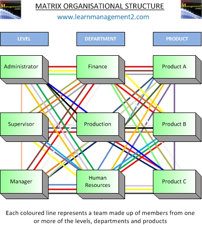 Matrix Structure Organisation Diagram